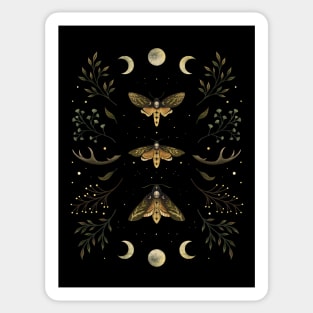 Death Head Moths Night Sticker